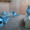 IMG_20160304_152655