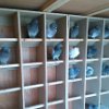 IMG_20160304_153241