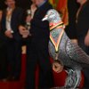 ULB_143_KBDB_LIMBURG_14_02_2016